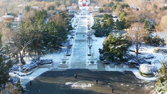 航拍劳动公园大球子雪景下雪