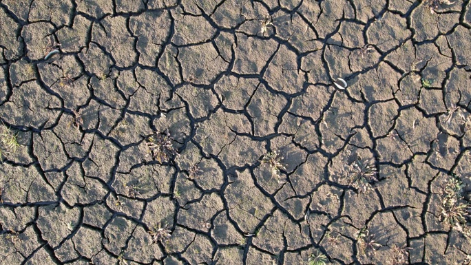 干旱的大地裂缝