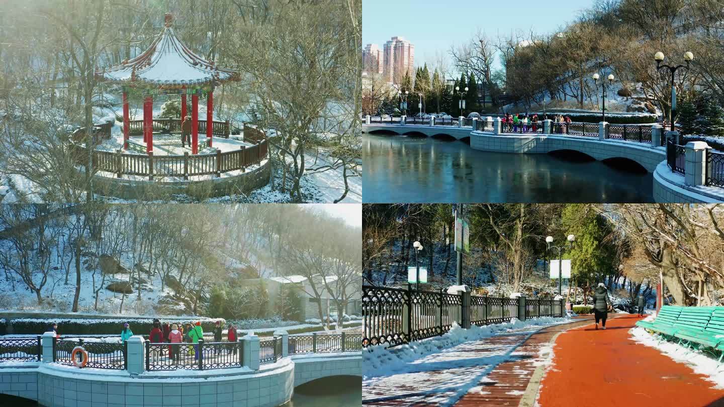 航拍大连植物园公园雪景广场大妈
