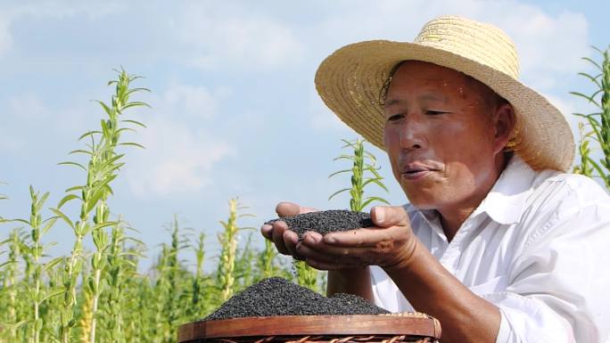 黑芝麻汤圆