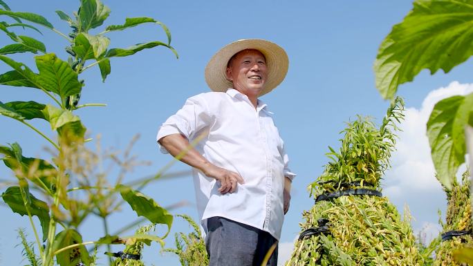 芝麻汤圆