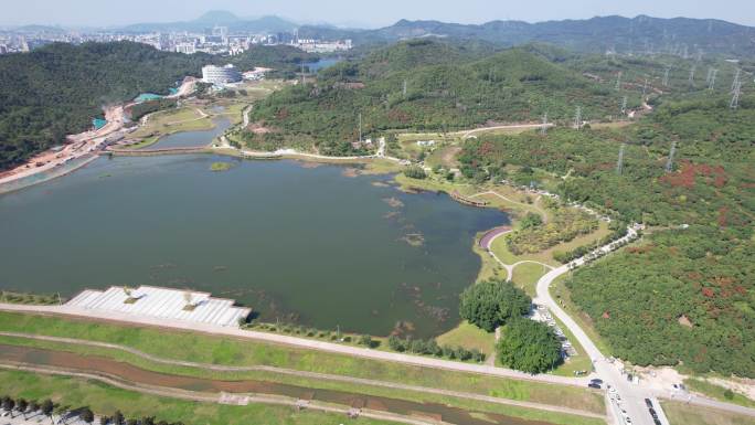 【正版素材】深圳光明区荔湖公园