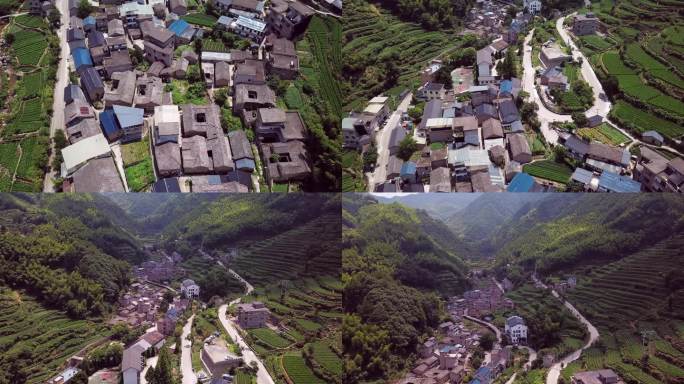 茶园茶田航拍 浙江松阳茶田山路航拍