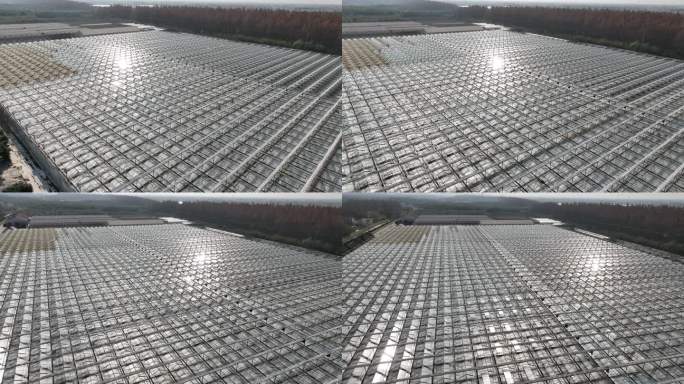 4K原素材-航拍上海太阳能温室