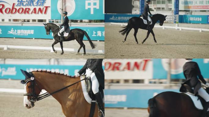 4K实拍马术盛装舞步