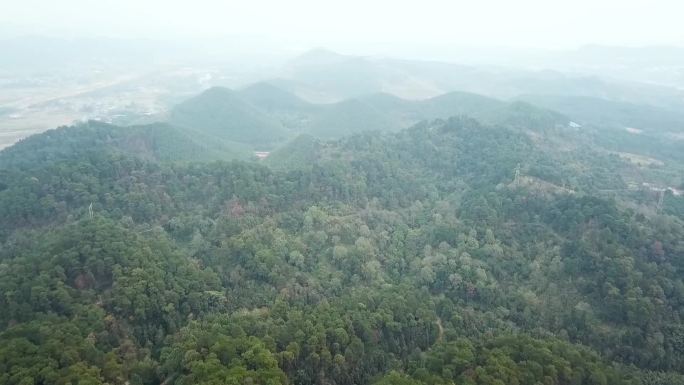 柳州古八景之龙壁回澜