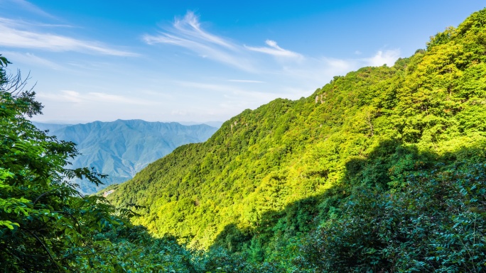 南宫山植被光阴