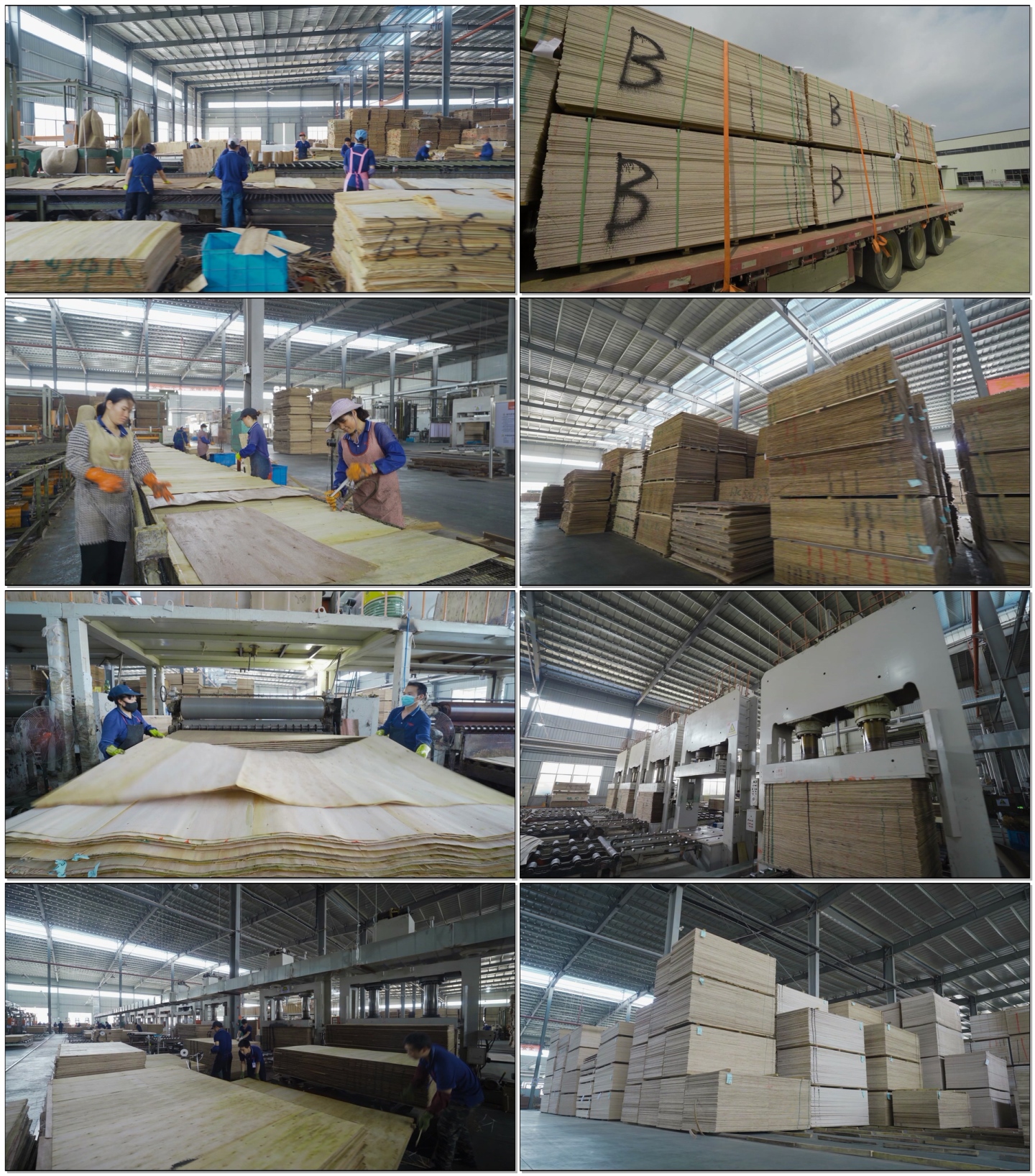 木材木板加工厂