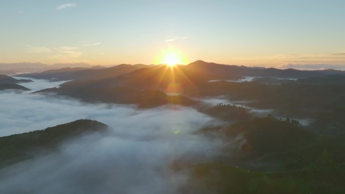 航拍云雾中的茶山