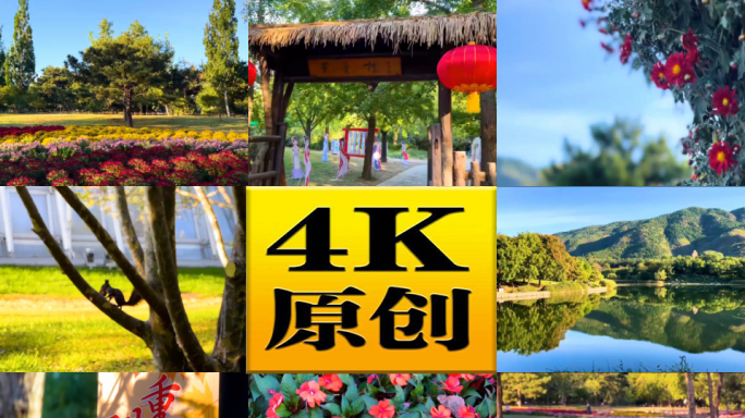 北京植物园 风景 鲜花 松鼠 美景 4K