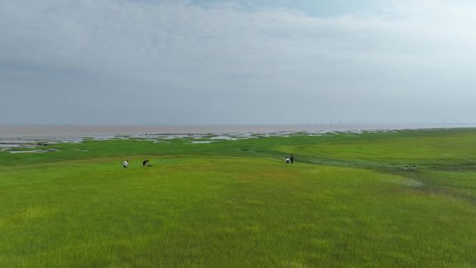 【4k】海宁尖山嘉绍大桥钱塘江边嬉戏游玩