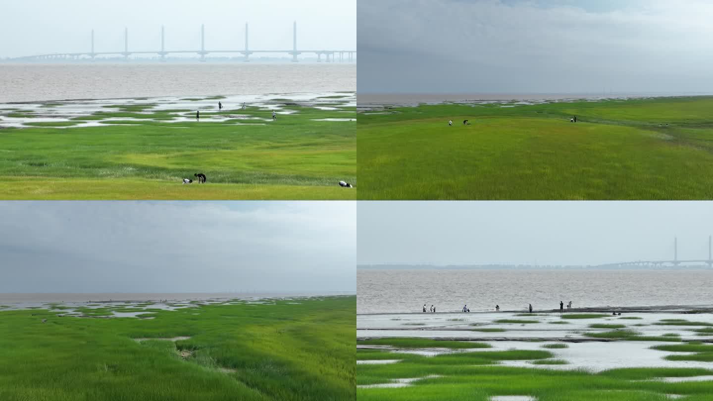 【4k】海宁尖山嘉绍大桥钱塘江边嬉戏游玩