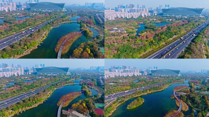 锦城湖环球中心秋天黄叶红叶
