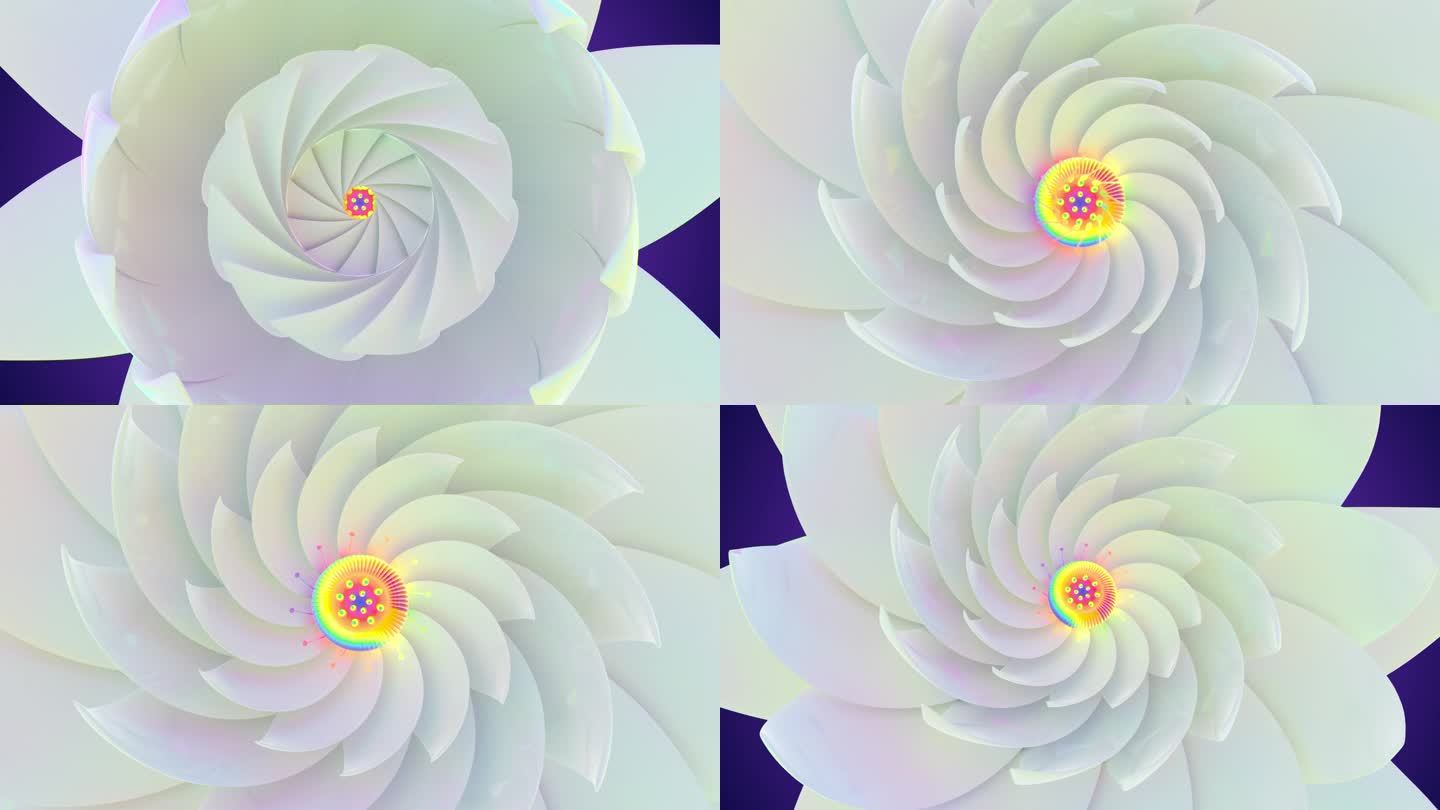 荷花莲花盛开花朵三维动画
