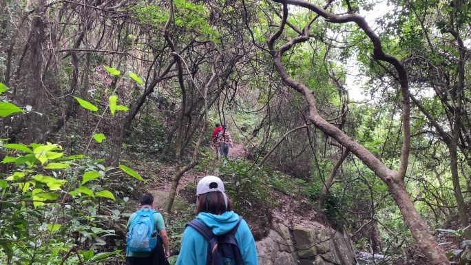 周末走进阳台山森林公园放松心情