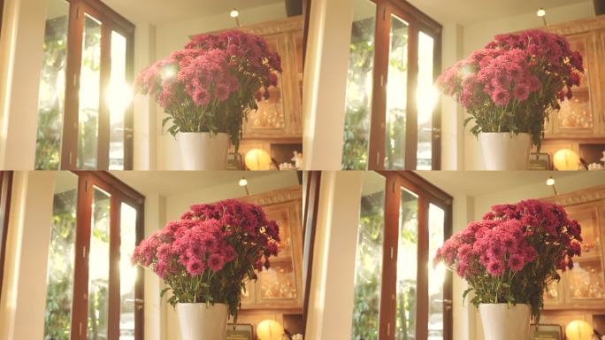 早上在家里花瓶里粉红色菊花的场景娃娃照片，生活中的一天概念