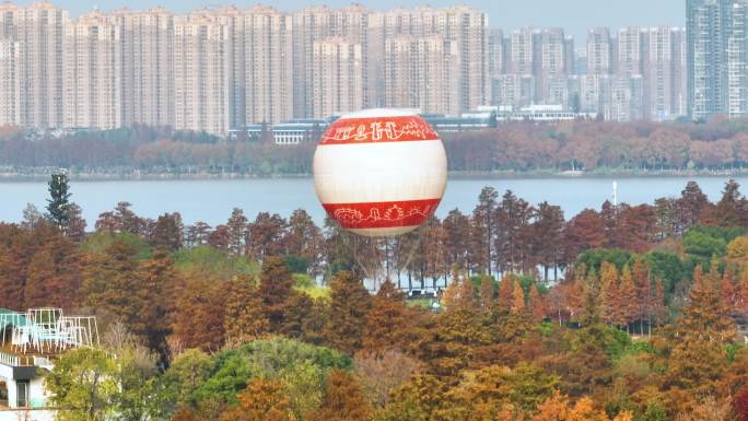 湖北武汉东湖风景区秋季风光