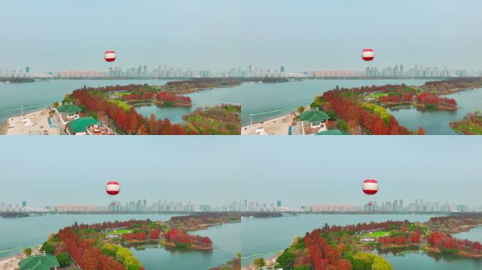 湖北武汉东湖风景区秋季风光