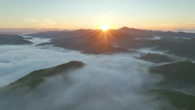 航拍云雾中的茶山