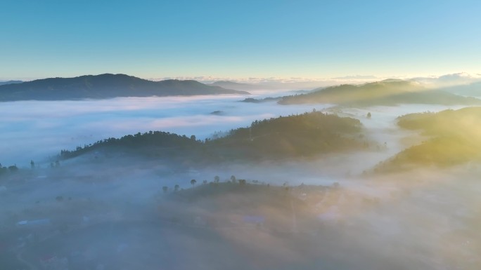 航拍云雾中的茶山