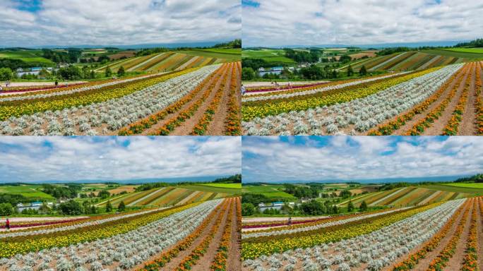 日本北海道延时摄影