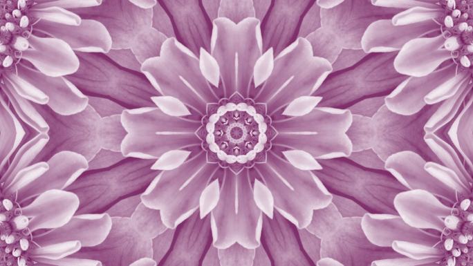 紫色花朵曼荼罗背景，带复制空间