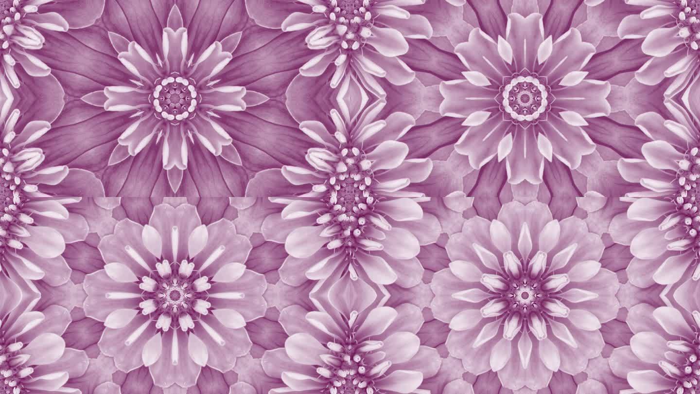紫色花朵曼荼罗背景，带复制空间