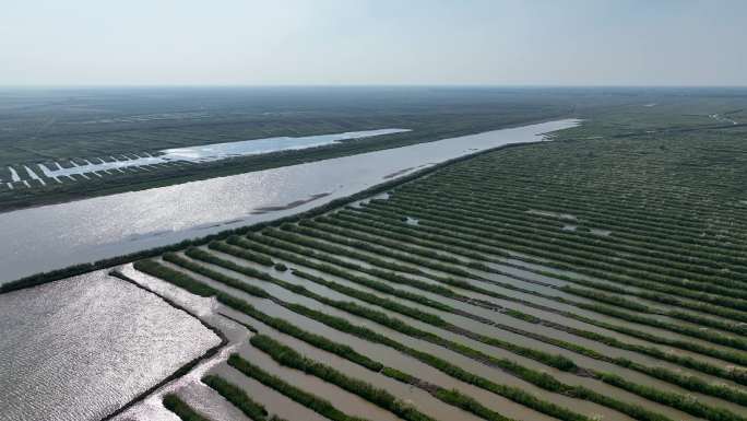 4K航拍洞庭湖湖区枯水时期