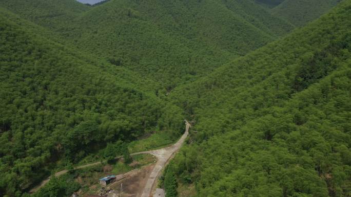 浙江湖州地区山区与茶园-合集