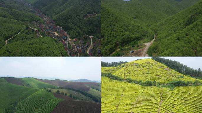 浙江湖州地区山区与茶园-合集