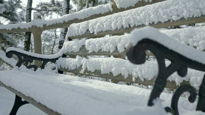 实拍冬季森林浪漫雪景自然风光