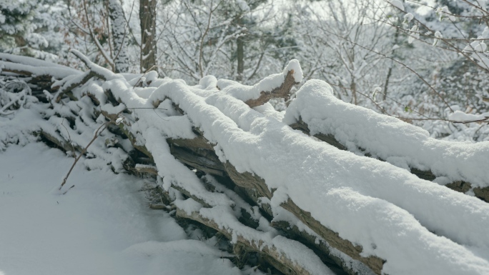 实拍冬季森林浪漫雪景自然风光