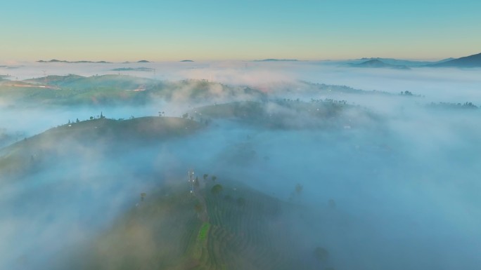 航拍云雾中的茶山