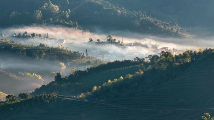 航拍云雾中的茶山