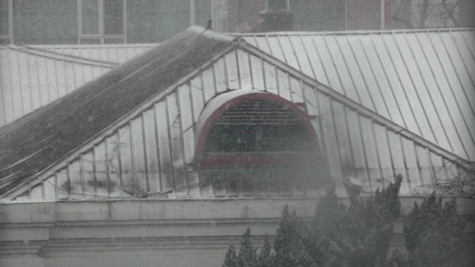 窗外的雪花下雪天飞雪迎春屋顶上的积雪