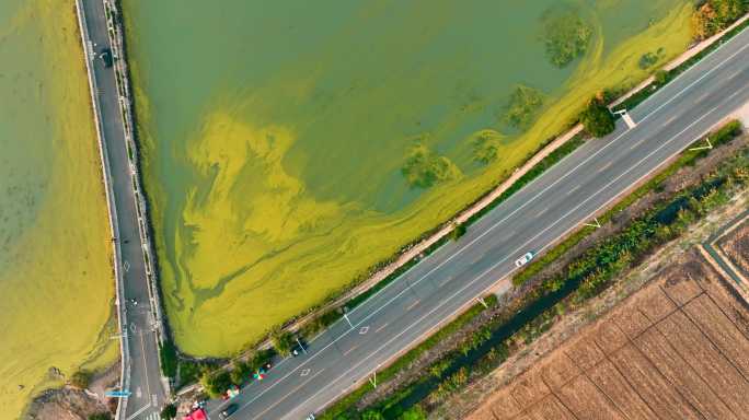 太湖 公路 环湖 蓝藻污染 航拍