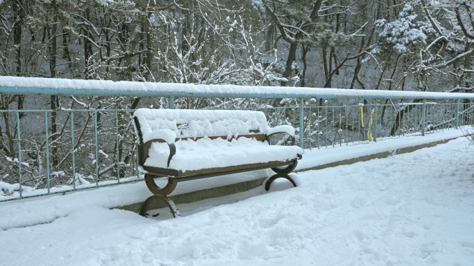 实拍冬季森林浪漫雪景自然风光