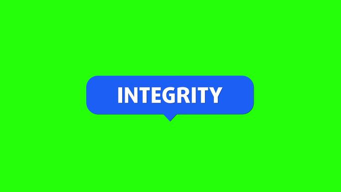 完整性，完整性integrity