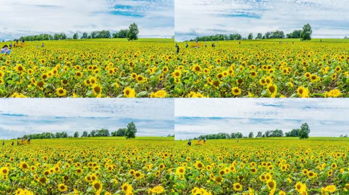 日本北海道延时摄影