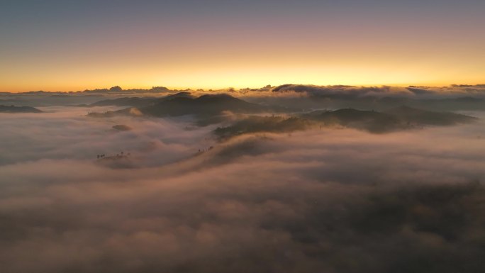 航拍云雾中的茶山