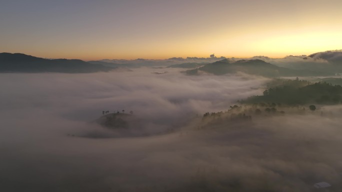 航拍云雾中的茶山