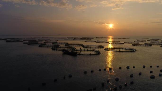 深海黄鱼 温州 南麂岛 东海 海面夕阳