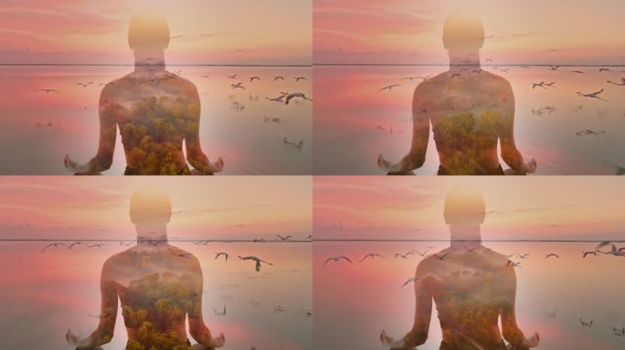 远景：日落时分，一名女子对着一群火烈鸟飞翔沉思的剪影