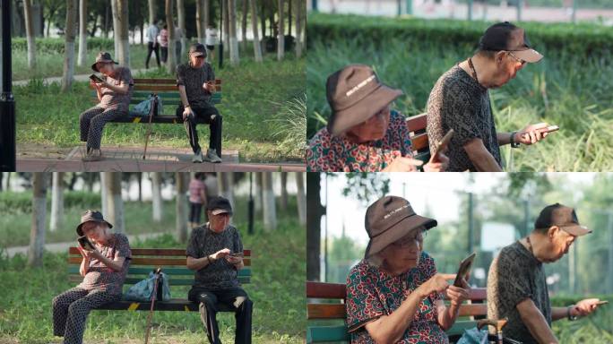 老人老年夫妇在公园长椅上看手机