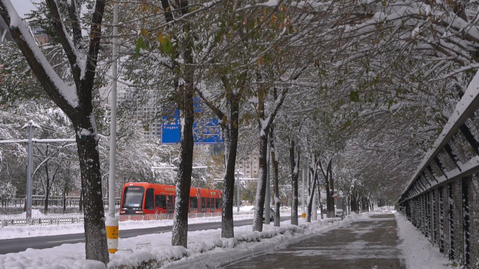 沈阳雪景