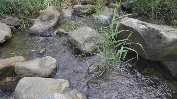 老界岭小溪水