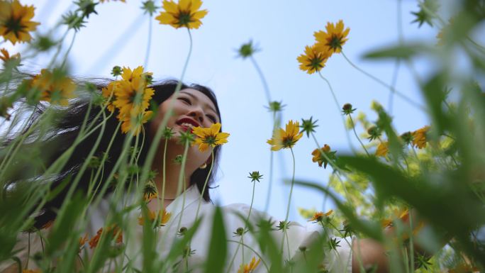 女人在黄色的花田里手摸花