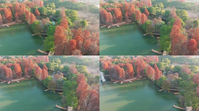 湖北武汉东湖落雁岛风景区秋季风光