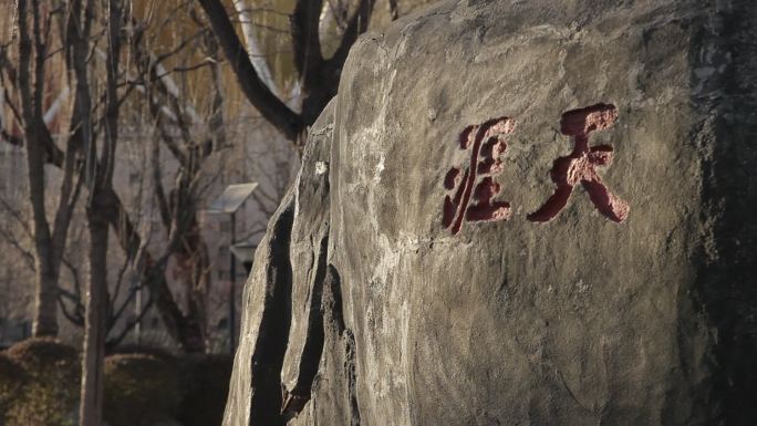 花博会公园里一块棕底红字的天涯山石