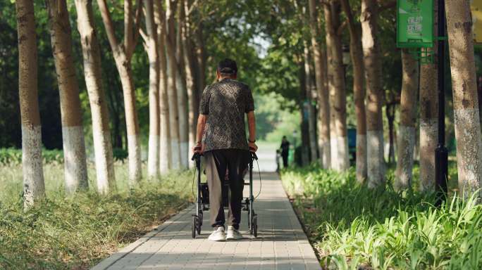 老人老年人丈夫推着轮椅上的妻子在公园散步
